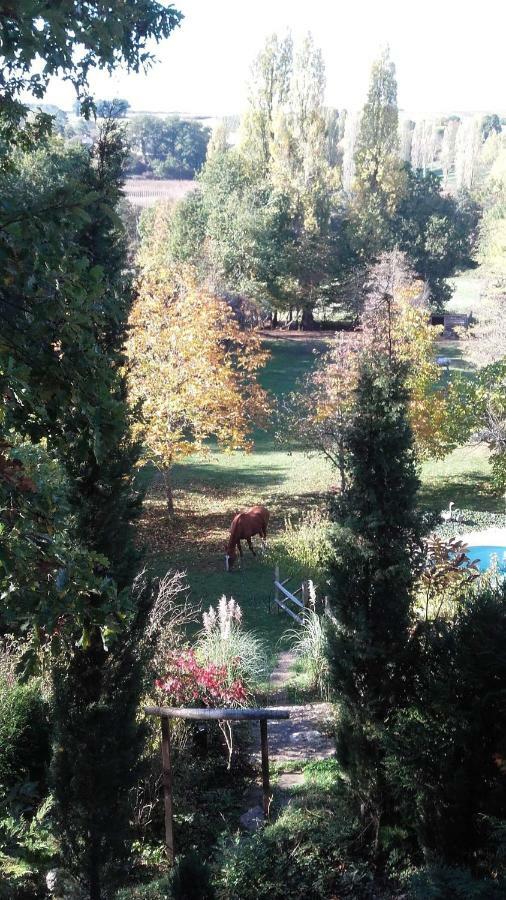 Les Lèves-et-Thoumeyragues Le Peyrail Bed & Breakfast エクステリア 写真